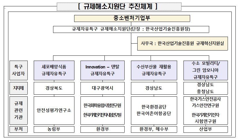 규제해소지원단 추진 체계 &#40;중기부 제공&#41;