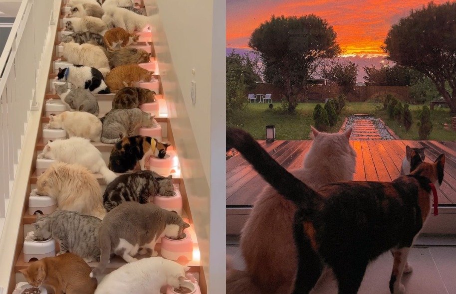 본문 이미지 - 고영주택 인스타그램 갈무리 ⓒ 뉴스1