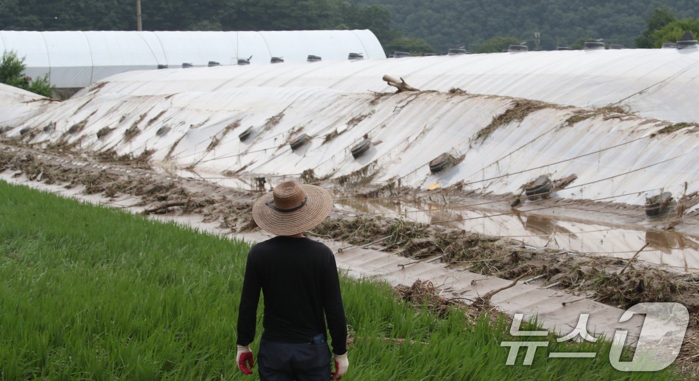 본문 이미지 - 어제 내린 집중호우로 마을 전체가 침수 피해를 입은 대전 서구 용촌동에서 11일 주민들이 무너진 비닐하우스를 바라보고 있다. 2024.7.11/뉴스1 ⓒ News1 김기태 기자