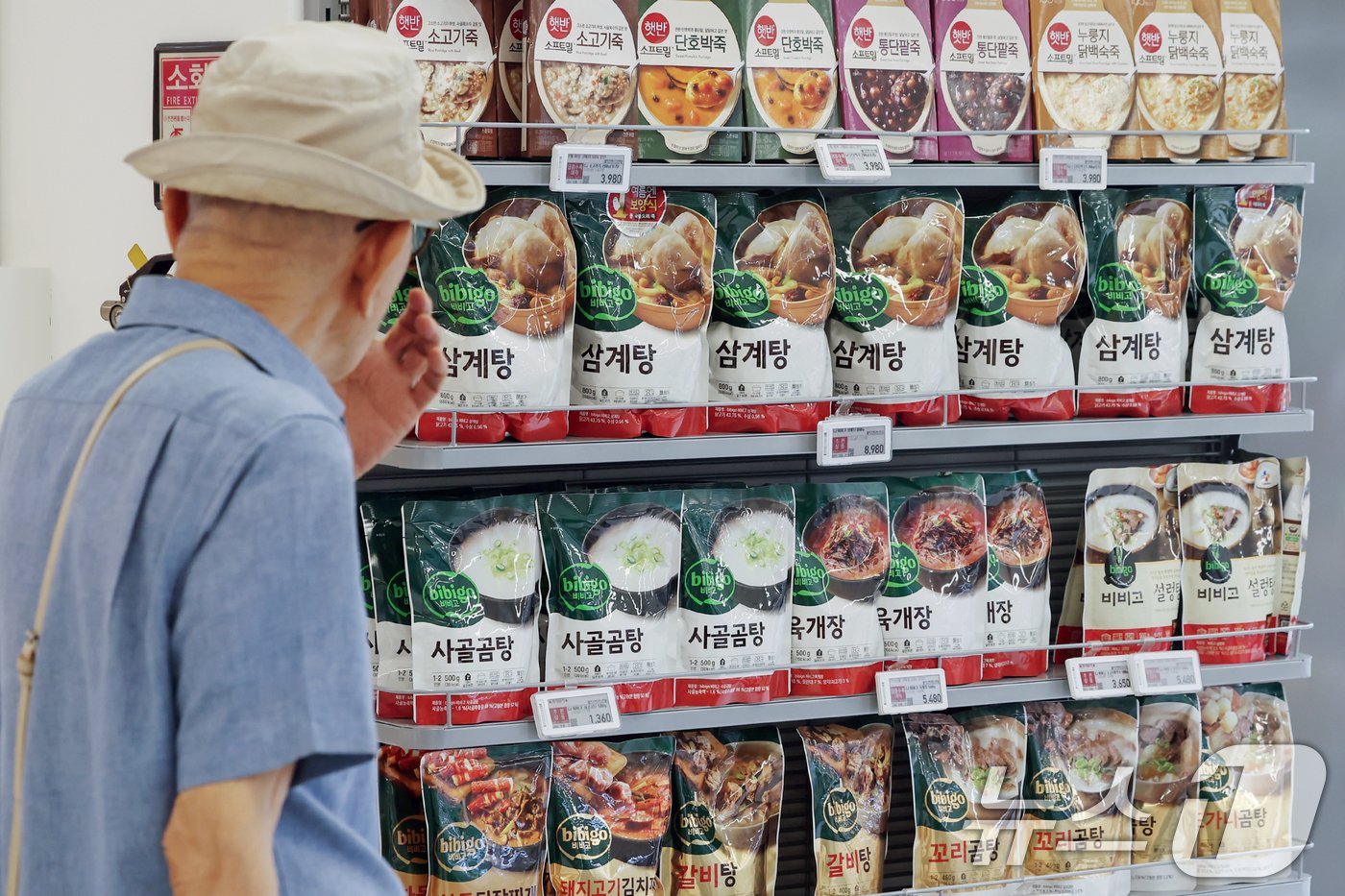 본문 이미지 - 초복을 3일 앞둔 12일 서울 용산구 이마트 용산점에 간편식 삼계탕이 진열돼 있다.  2024.7.12/뉴스1 ⓒ News1 민경석 기자