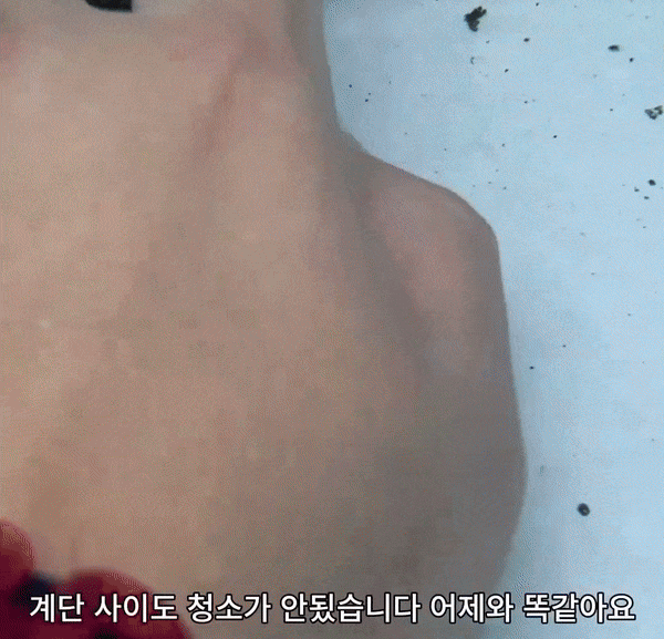 본문 이미지 - &#40;차박 가족 SNS 갈무리&#41;