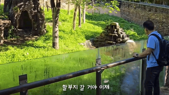 본문 이미지 - 푸바오와 작별을 나누는 강철원 사육사&#40;유튜브 뿌빠TV 갈무리&#41;