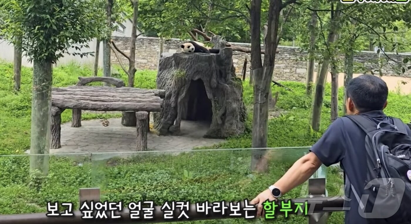본문 이미지 - 3개월 만에 푸바오와 강철원 사육사의 재회 장면&#40;뿌빠TV 갈무리&#41;