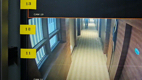 본문 이미지 - (보배드림 갈무리)