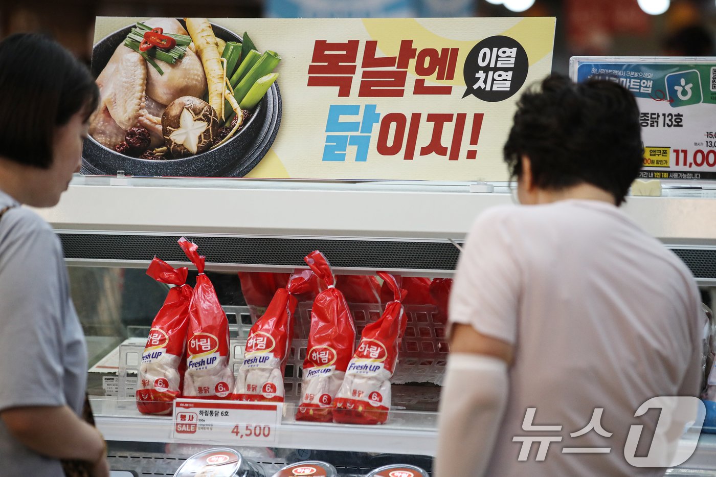 본문 이미지 - 초복을 하루 앞둔 14일 서울 시내의 한 대형마트에 삼계탕 재료들이 진열돼 있다. 2024.7.14/뉴스1 ⓒ News1 이승배 기자