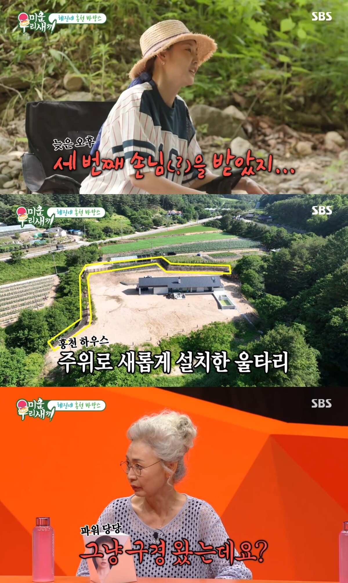 본문 이미지 - ('미운 우리 새끼')