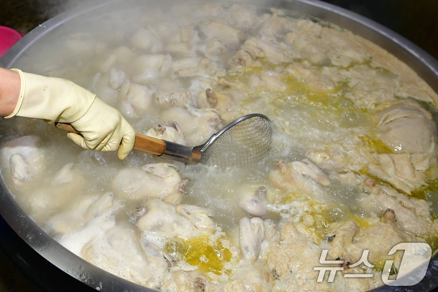 본문 이미지 - 초복인 15일 경북 포항시 남구에 있는 한 삼계탕 전문식당에서 종업원들이 판매할 닭을 삶고 있다. 2024.7.15/뉴스1 ⓒ News1 최창호 기자