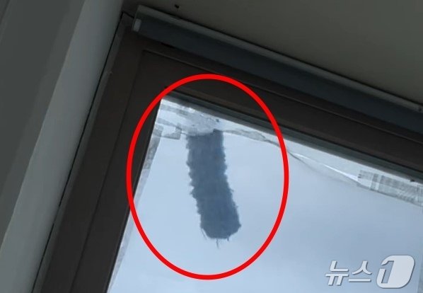 본문 이미지 - (SNS 갈무리)