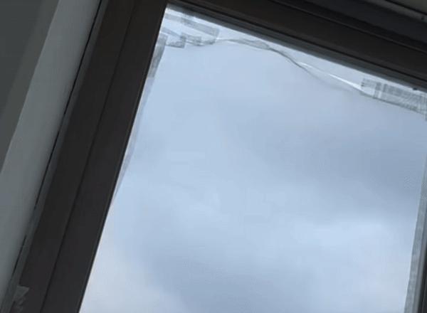 본문 이미지 - (SNS 갈무리)