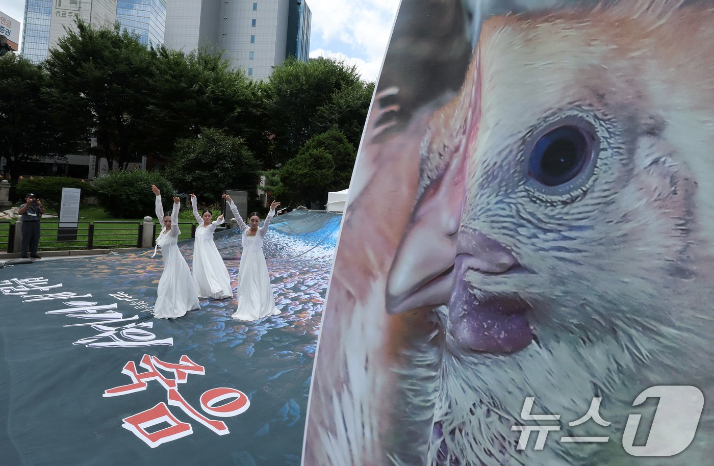 본문 이미지 - 초복인 15일 서울 종로구 보신각 앞에서 열린 &#39;2024 복날추모행동&#39;에서 죽어간 닭들을 애도하는 진혼무 공연이 펼쳐지고 있다. ‘2024.7.15/뉴스1 ⓒ News1 이동해 기자