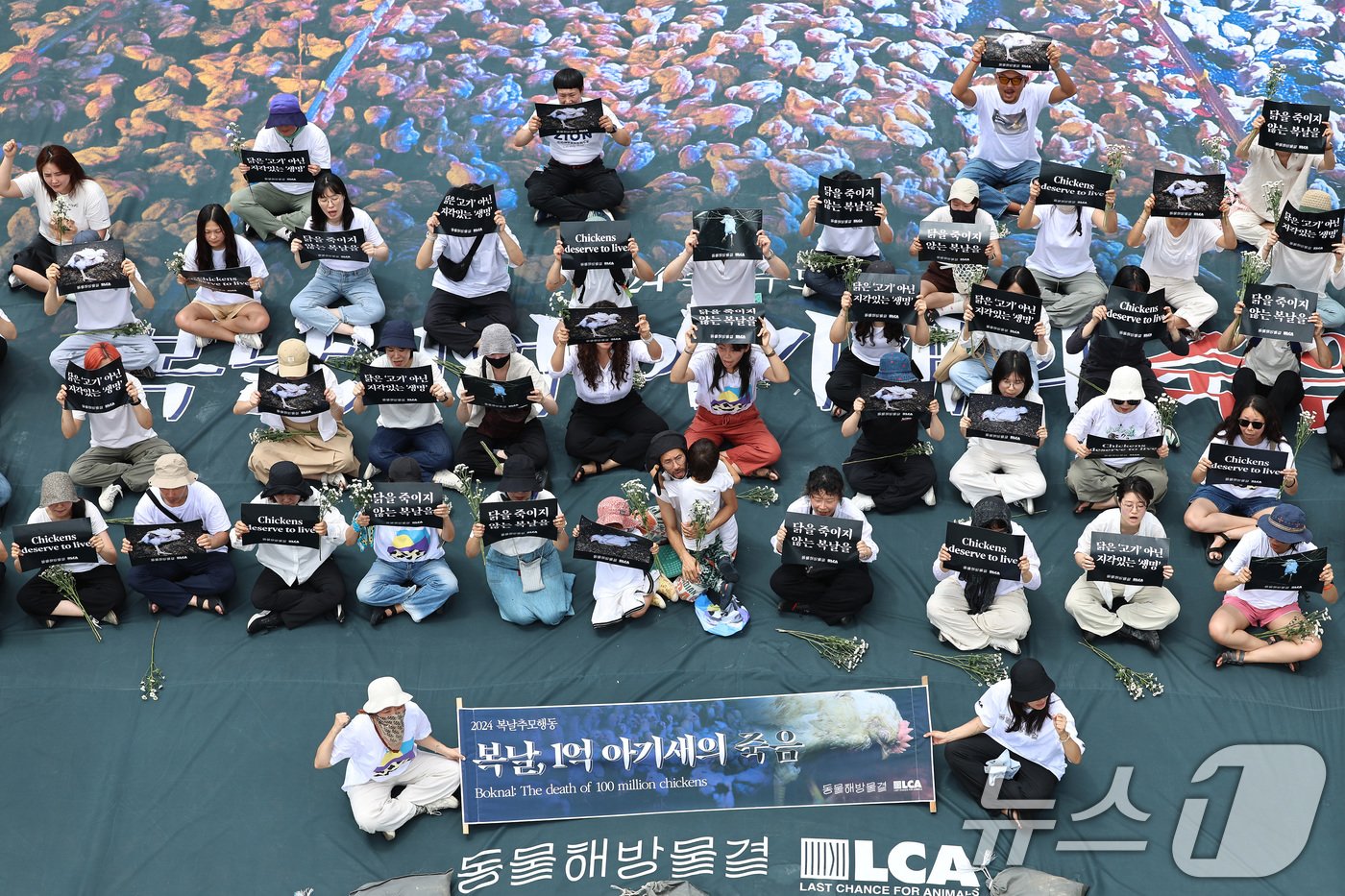 본문 이미지 - 초복인 15일 동물해방물결 등 동물권단체 활동가들이 서울 종로구 보신각 앞에서 열린 '2024 복날추모행동'에서 밀집 사육장 사진이 인쇄된 대형 현수막을 배경으로 구호를 외치고 있다. (공동취재) 2024.7.15/뉴스1 ⓒ News1 이동해 기자