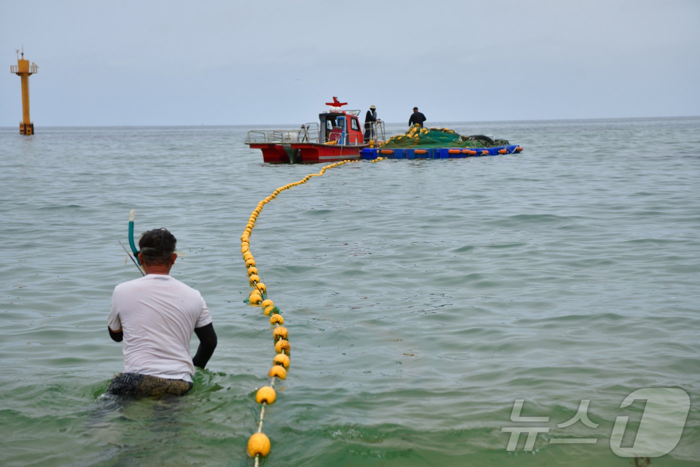 본문 이미지 - 속초시가 상어로 인한 피서객 피해를 방지하기 위해 설치한 그물망.(속초시 제공) 2023.7.14