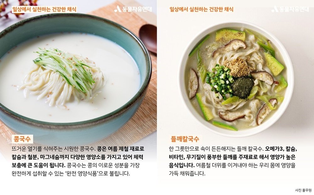 동물자유연대는 복날 채식 한끼로 &#39;콩국수, 팥죽, 들깨 칼국수&#39;를 제안했다. &#40;동물자유연대 제공&#41; ⓒ 뉴스1