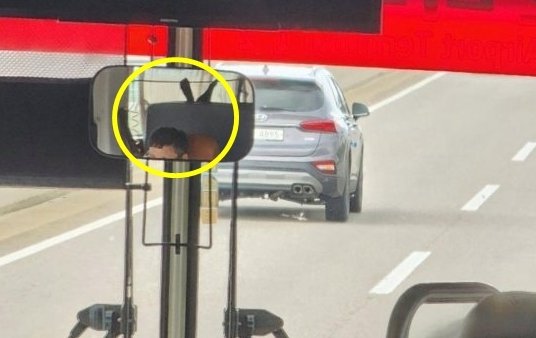 본문 이미지 - (온라인 커뮤니티 갈무리)