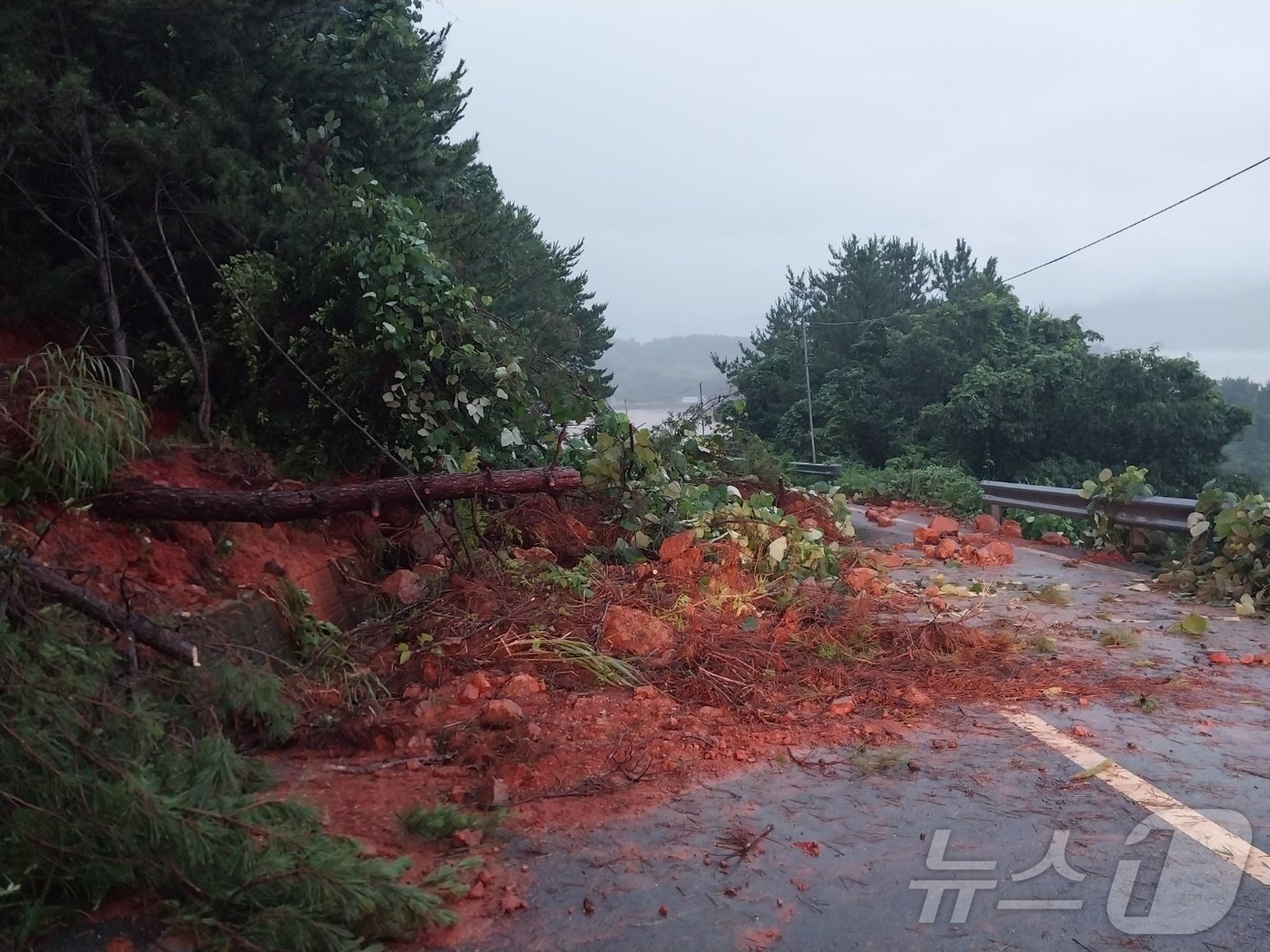 본문 이미지 - 지난 16일 오전 5시15분쯤 집중호우로 인해 전남 고흥군의 한 도로에 나무가 쓰러지고 토사가 유출되면서 소방당국이 현장 조치를 취하고 있다.(전남소방본부 제공) 2024.7.16/뉴스1 ⓒ News1 전원 기자