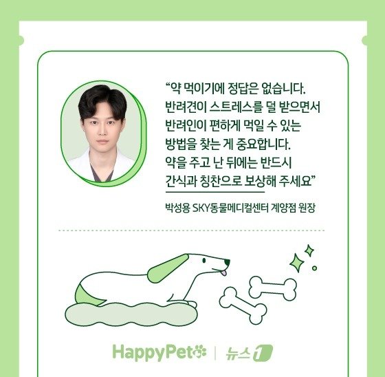 본문 이미지 - 반려견에게 약 잘 먹이는 법 ⓒ News1 김지영 디자이너