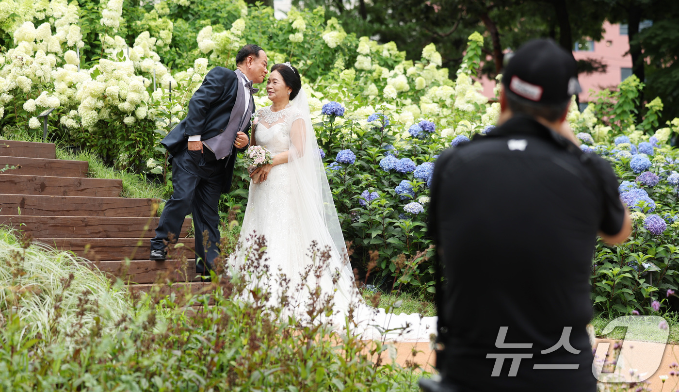 (서울=뉴스1) 박지혜 기자 = 17일 오후 서울 노원구 초안산 수국동산에서 딸이 사연을 보내 선정된 중년 부부가 웨딩촬영을 하고 있다.이날 노원구는 다양한 사유로 인해 웨딩사진을 …