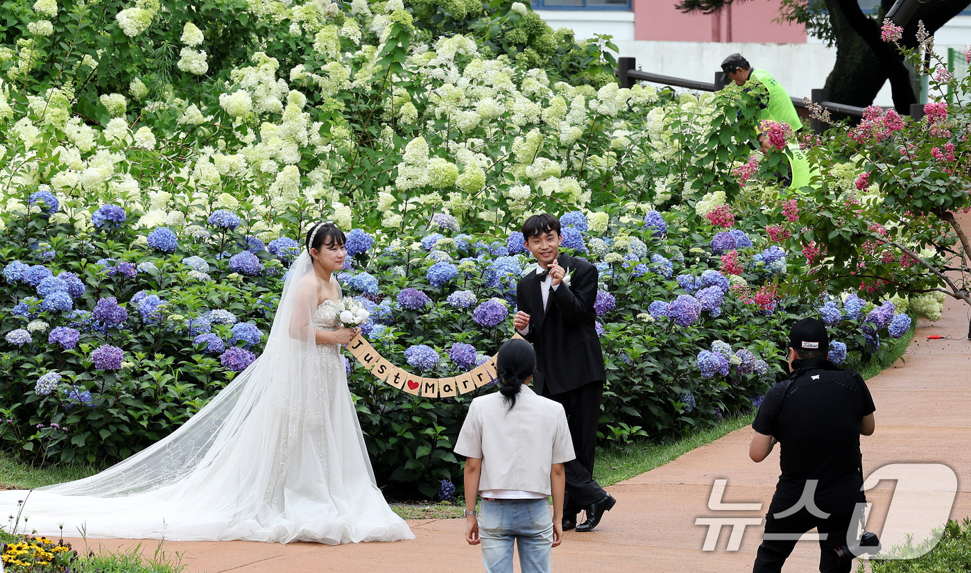 (서울=뉴스1) 박지혜 기자 = 17일 오후 서울 노원구 초안산 수국동산에서 결혼을 앞둔 커플이 웨딩촬영을 하고 있다.이날 노원구는 다양한 사유로 인해 웨딩사진을 촬영하지 못한 주 …