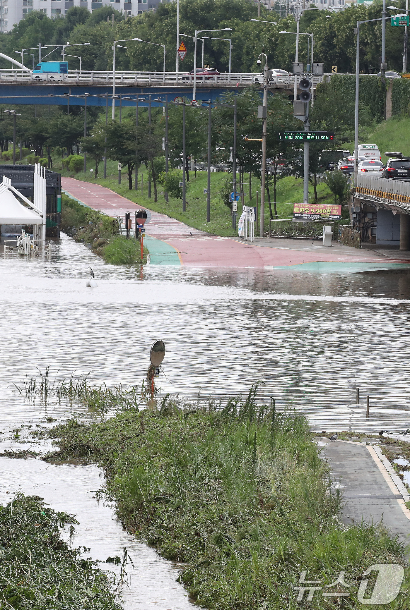 (서울=뉴스1) 임세영 기자 = 서울 전역에 호우경보가 발효된 17일 오후 서울 노원구 월릉교 인근 중랑천 공원과 산책로 일부가 잠겨있다. 2024.7.17/뉴스1