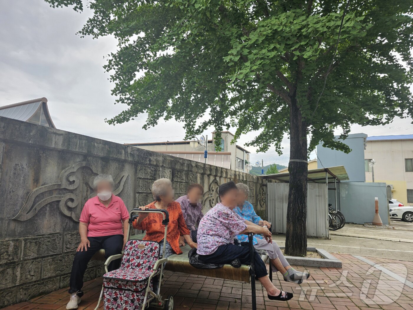 본문 이미지 - 초복인 지난 7월17일 점심을 함께 먹은 주민들이 중태에 빠진 사건이 발생한 경북 봉화군 봉화읍 내성4리 마을에서 노인들이 나무 그늘 아래 모여 앉아있다.2024.7.17/뉴스12024.7.17/뉴스1 ⓒ News1 신성훈 기자