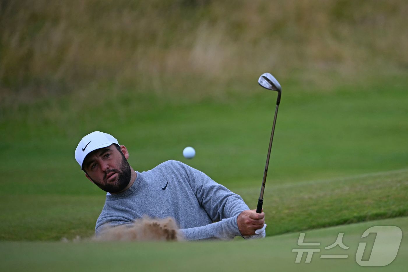 본문 이미지 - 스코티 셰플러(미국). ⓒ AFP=뉴스1