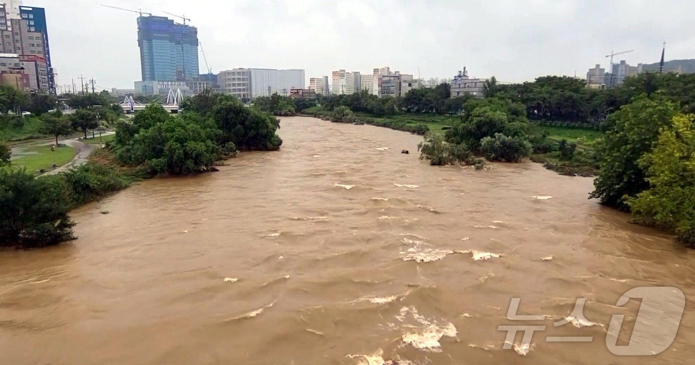 본문 이미지 - 18일 경기 오산시 오산천 인근 주민들에게 대피명령이 떨어졌다. (독자제공 영상 캡처)2024.7.17/뉴스1