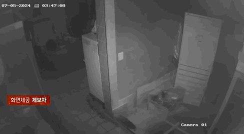 본문 이미지 - &#40;JTBC &#39;사건반장&#39; 갈무리&#41;