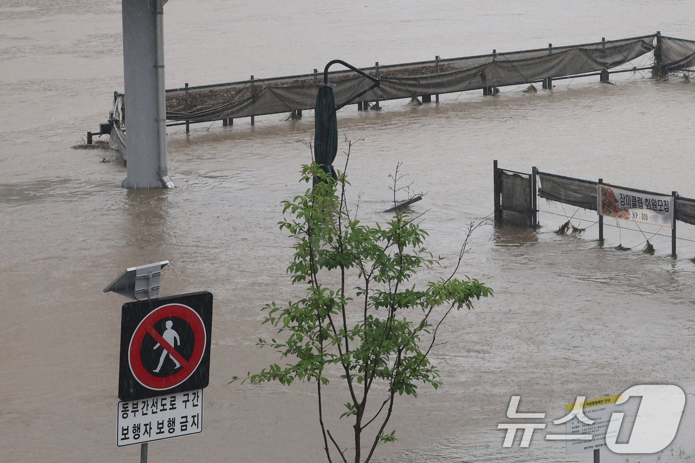 본문 이미지 - 전국적인 호우가 이어진 18일 오후 서울 중랑천 공원 산책로가 물에 잠겨 있다. 2024.7.18/뉴스1 ⓒ News1 신웅수 기자