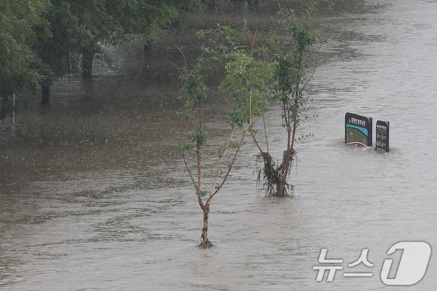 본문 이미지 - 전국적인 호우가 이어진 18일 오후 서울 중랑천 공원 산책로가 물에 잠겨 있다.  2024.7.18/뉴스1 ⓒ News1 신웅수 기자
