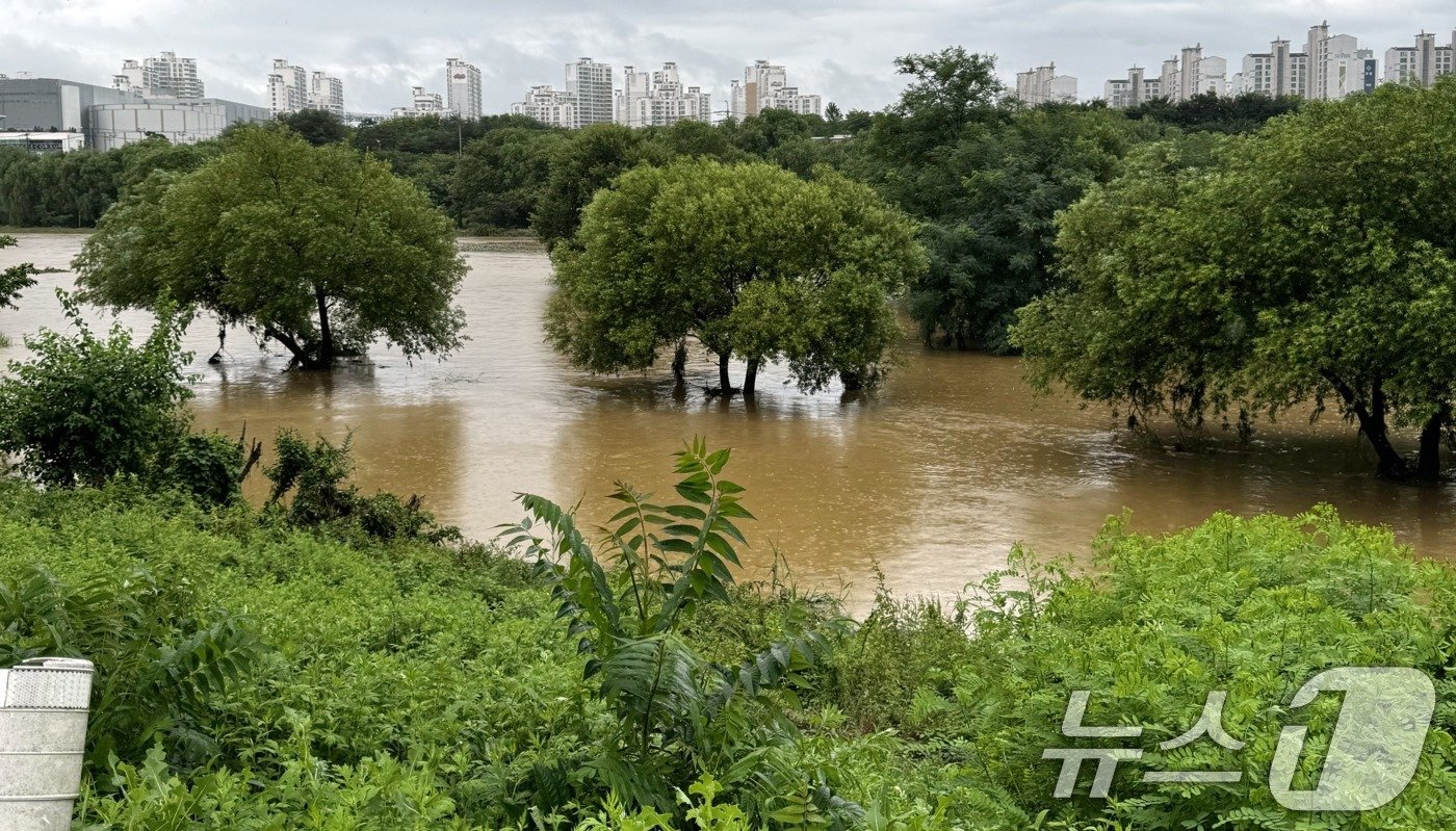 본문 이미지 - 수도권 지역에 많은 비가 내린 18일 오후 경기 오산시 오산천이 폭우로 인해 범람해 있다. (독자 제공) 2024.7.18/뉴스1