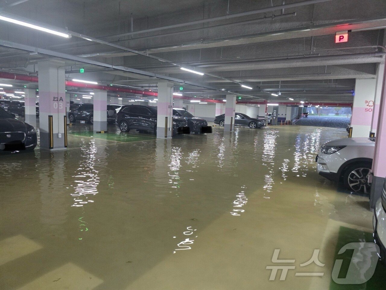 본문 이미지 - (온라인 커뮤니티)