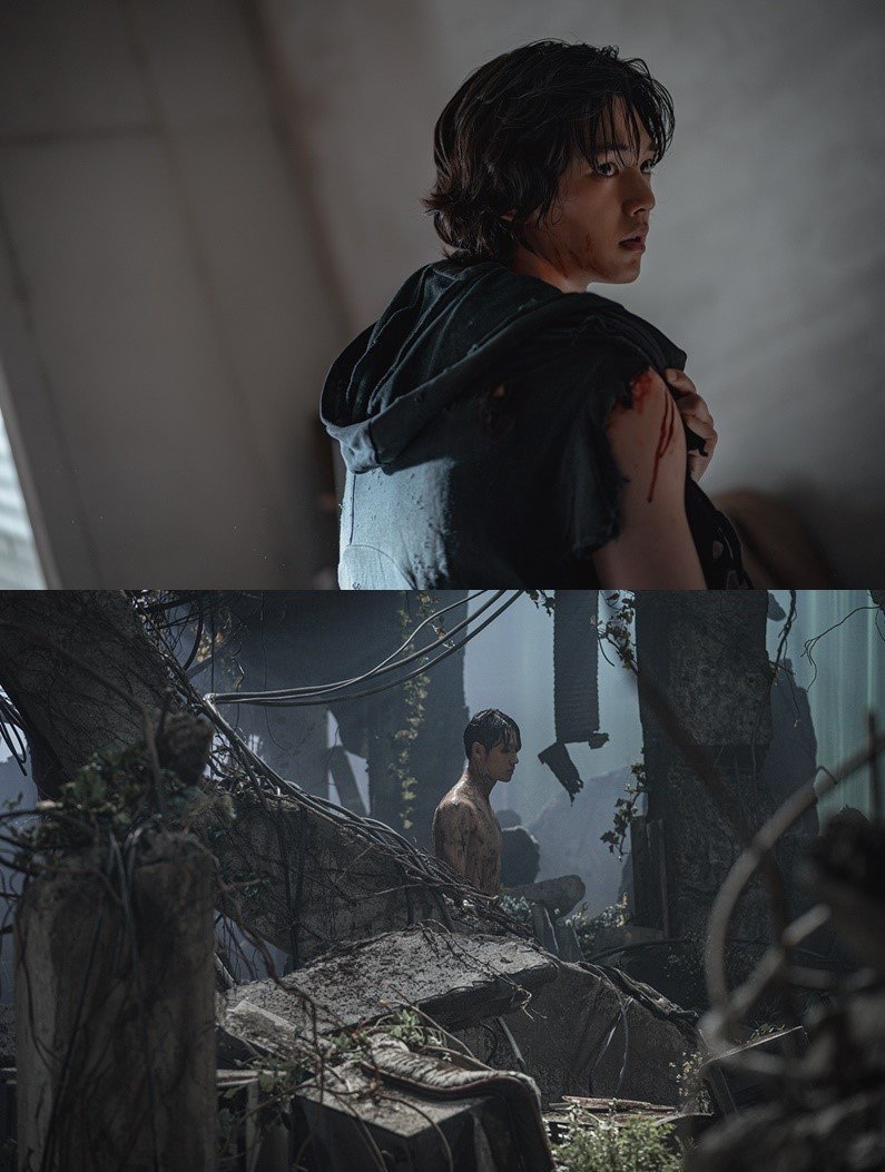 본문 이미지 - 사진=넷플릭스