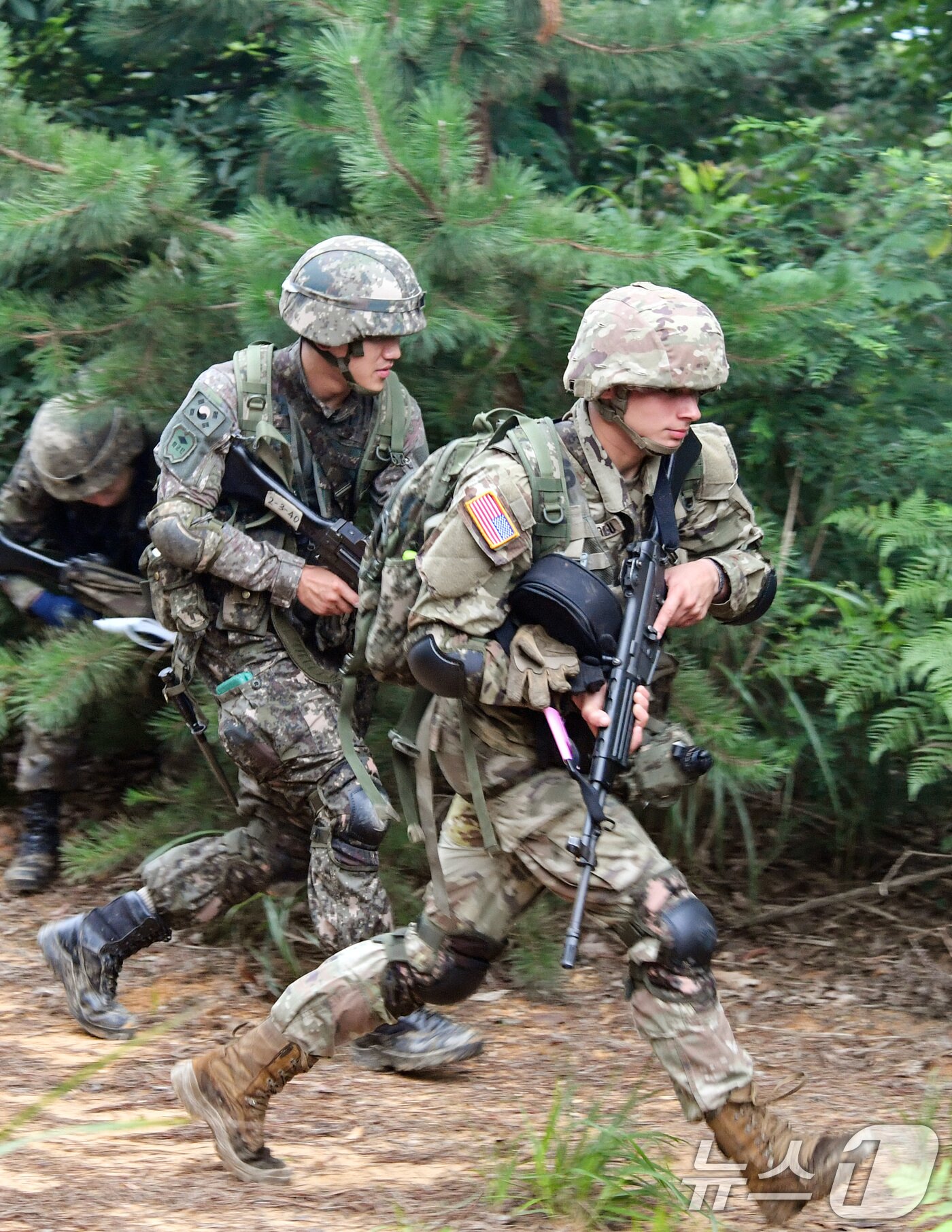 육군은 한국과 미국 육군의 ROTC 후보생들이 지난 17일부터 충북 괴산 육군학생군사학교에서 ROTC 동반훈련을 진행했다고 19일 밝혔다. 미 ROTC 4학년 후보생 40여 명이 한국 ROTC 4학년 하계입영훈련에 3일간 동참하는 방식으로 실시됐다. 한미 ROTC 후보생들이 분대공격 훈련 간 목표 확보를 위해 전술적 행동을 하고 있다. &#40;육군 제공&#41; 2024.7.19/뉴스1