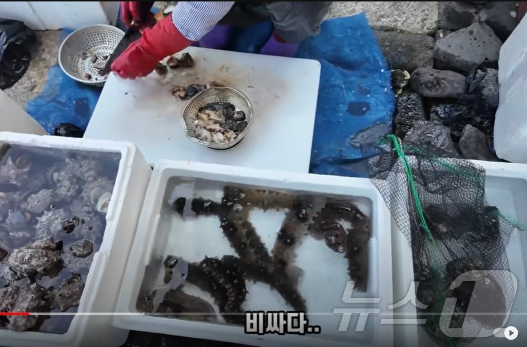 본문 이미지 - 제주 용두암 인근 해산물을 판매하는 노점 상인들.(유튜브 ‘부산여자하쿠짱’ 갈무리)2024.7.19/뉴스1 ⓒ News1 홍수영 기자