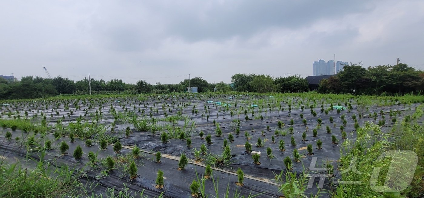 본문 이미지 - 고양시 덕양구 대곡역 인근 전경.2024.7.19/뉴스1 ⓒ News1 황보준엽 기자