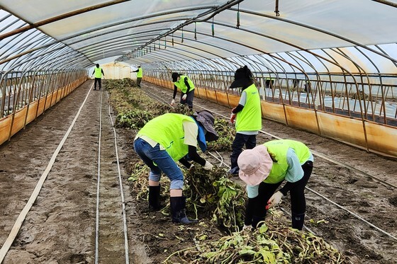 진안군, 여름철 집중호우·태풍 대비 전담 조직 본격 운영