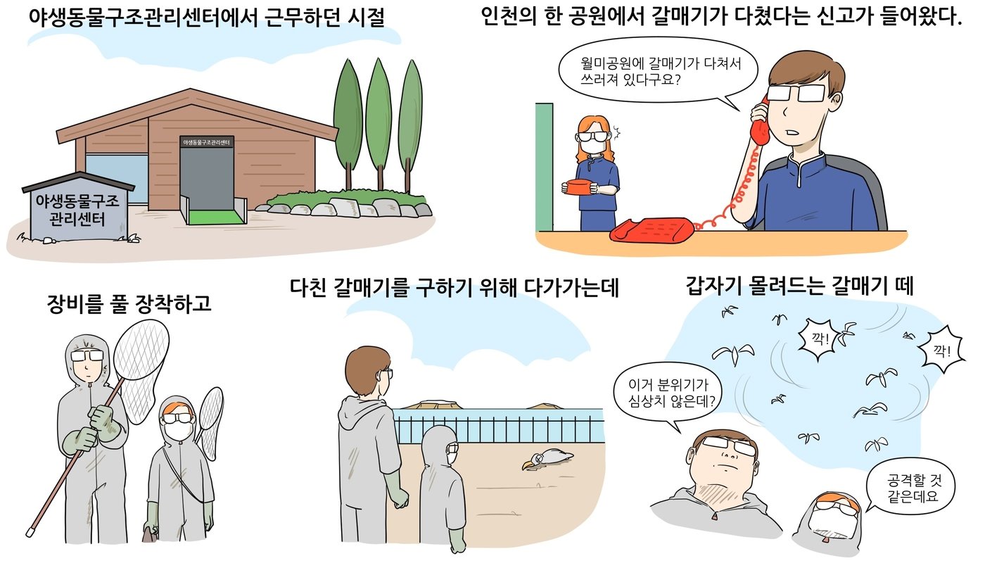 베토리&#40;정철 수의사 제공&#41; ⓒ 뉴스1