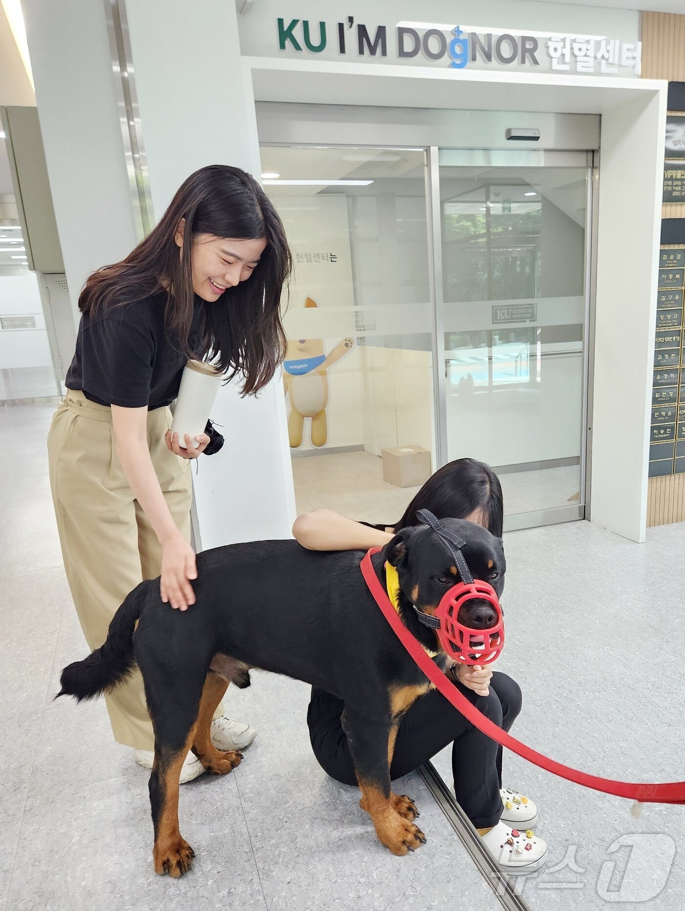 본문 이미지 - 지난달 28일 KU 아임도그너 헌혈센터에서 네 번째 헌혈을 마친 로트와일러 '로또'가 건국대 관계자들과 휴식을 취하고 있다. ⓒ 뉴스1 한송아 기자