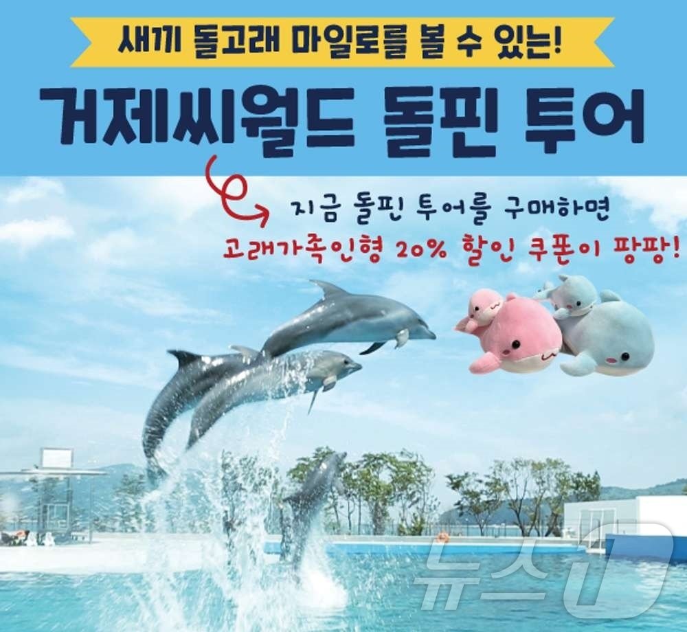 본문 이미지 - 거제씨월드 돌핀 투어 안내문.(네이버예약 갈무리)