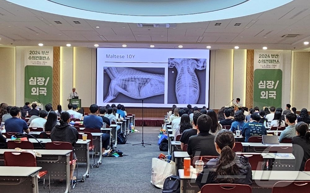 본문 이미지 - 6월 30일 벡스코에서는 부산수의콘퍼런스 강의가 진행됐다. ⓒ 뉴스1 최서윤 기자