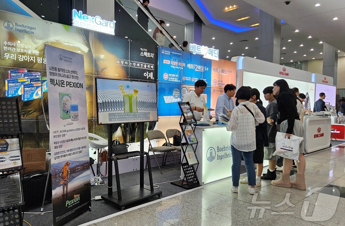 본문 이미지 - 6월 30일 벡스코에서 열린 부산수의콘퍼런스에서 참가업체들이 제품 소개를 하고 있다. ⓒ 뉴스1 최서윤 기자