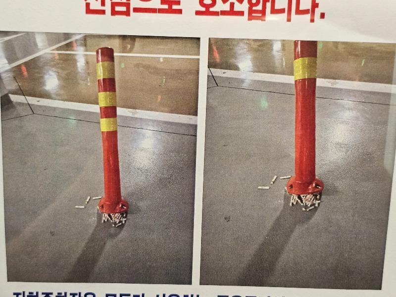 본문 이미지 - (보배드림)