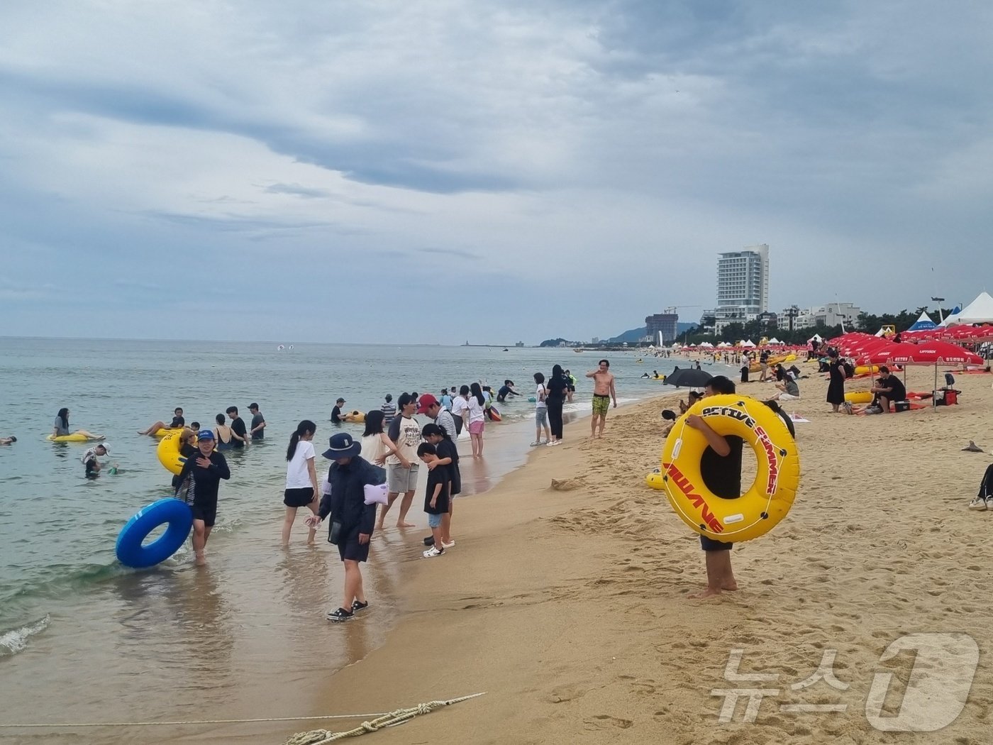본문 이미지 - 본격 휴가철이 시작된 20일 강원 강릉 경포해수욕장을 찾은 피서객들이 물놀이를 즐기고 있다.2024.7.20/뉴스1 윤왕근 기자