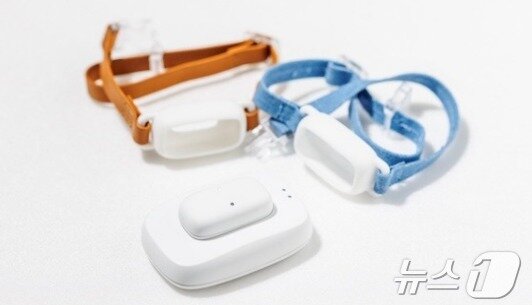 본문 이미지 - 캐롯손해보험 반려동물 웨어러블 기기.(캐롯손해보험 제공)