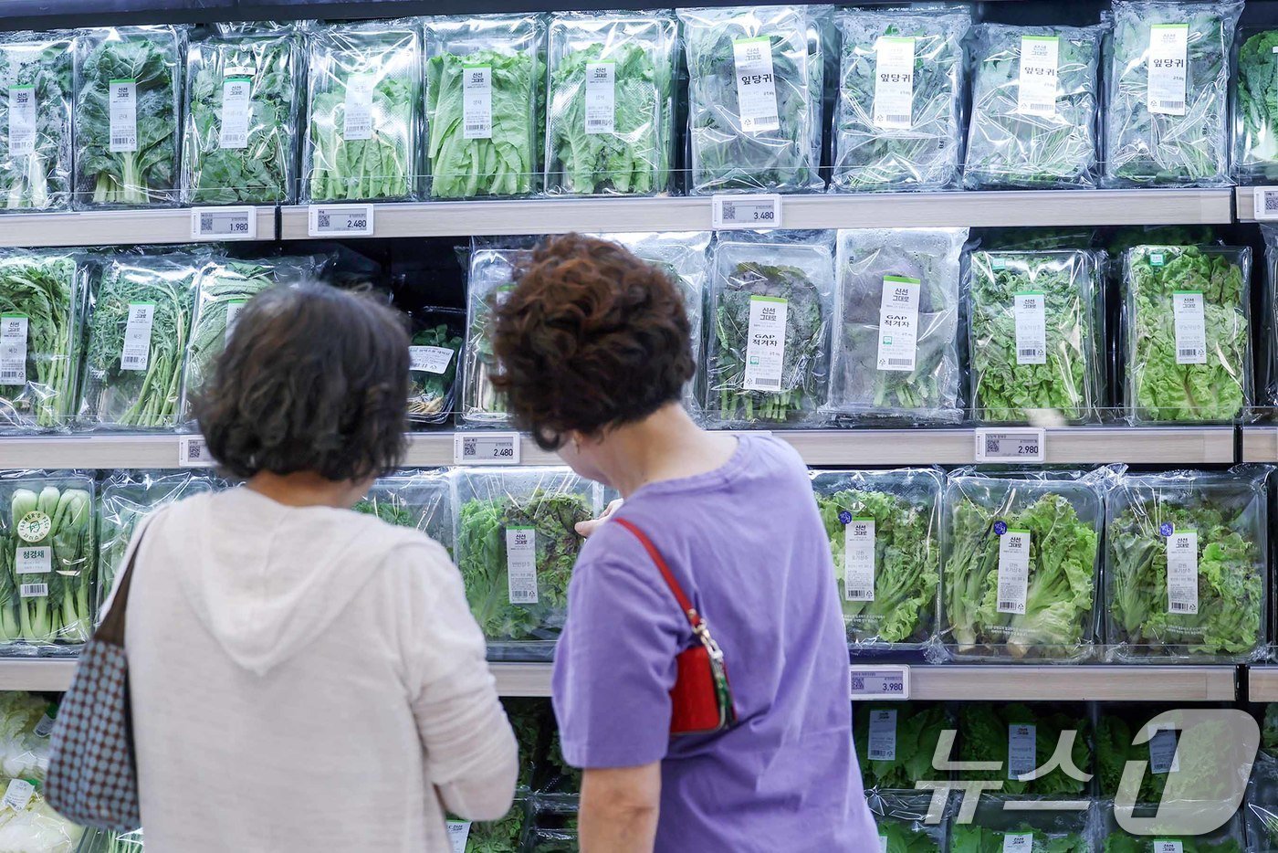 본문 이미지 - 서울의 한 대형마트에서 시민들이 상추와 깻잎 등 쌈채소를 고르고 있다. 2024.7.21/뉴스1 ⓒ News1 민경석 기자