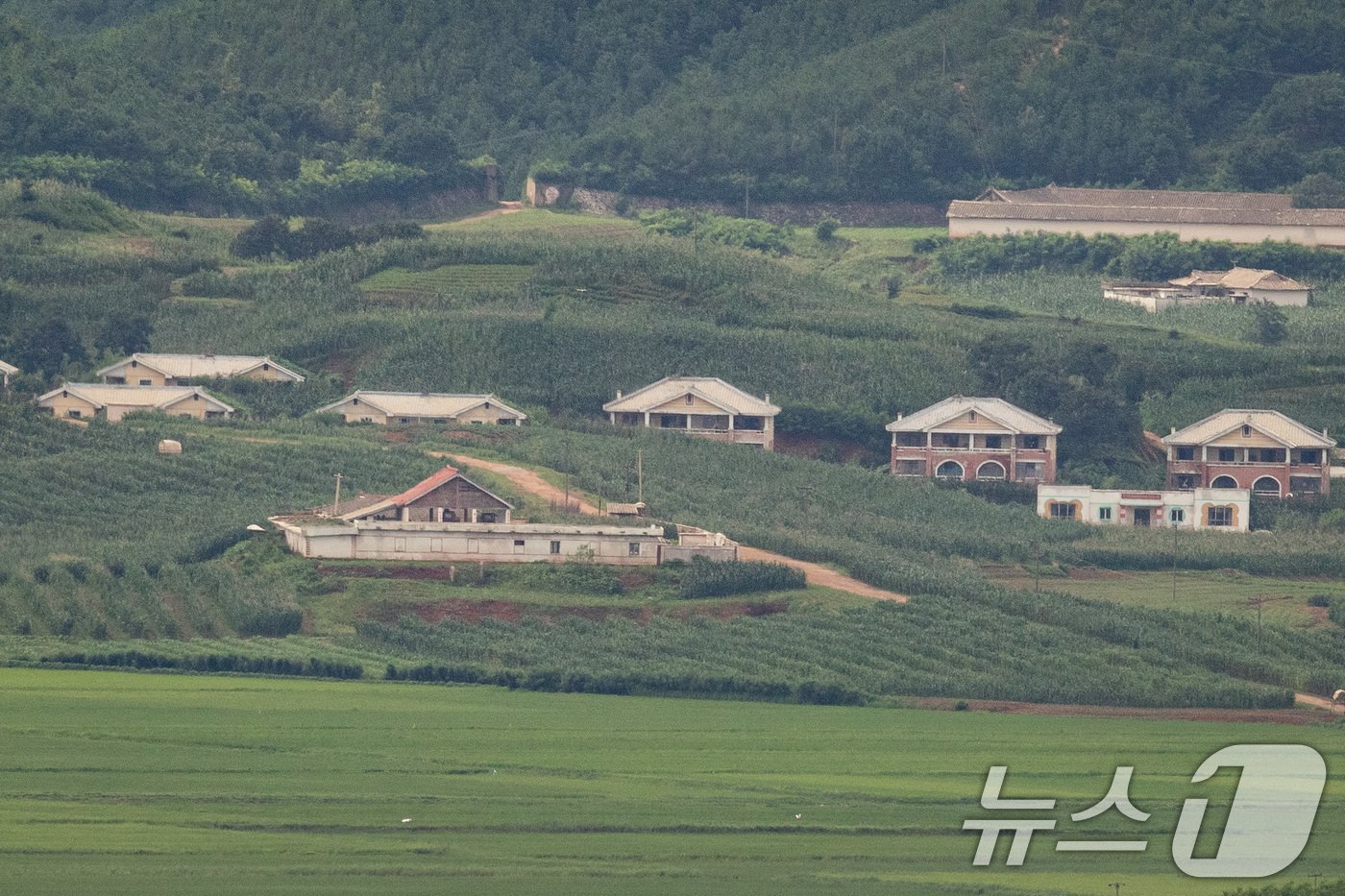 경기 파주시 오두산통일전망대에서 바라본 북한 개풍군 마을에 적막이 흐르고 있다.2024.7.21/뉴스1 ⓒ News1 유승관 기자