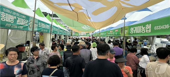본문 이미지 - 제28회 홍천찰옥수수축제.(홍천문화재단 제공)/뉴스1
