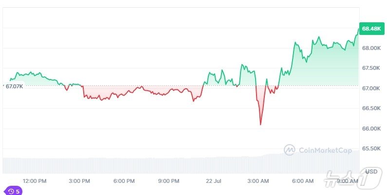 본문 이미지 - 비트코인 일일 가격 추이 새벽 3시를 전후로 급락하고 있다. - 코인마켓캡 갈무리
