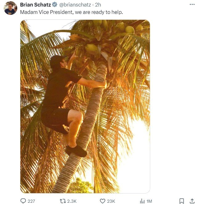 본문 이미지 - 하와이의 브라이언 샤츠 상원의원이 자신의 SNS 엑스 계정에 게재한 사진. 카멀라 해리스 부통령의 '코코넛 트리' 발언을 활용해 "부통령님, 도울 준비가 됐다"며 지지 의사를 밝혔다. 2024.07.21/