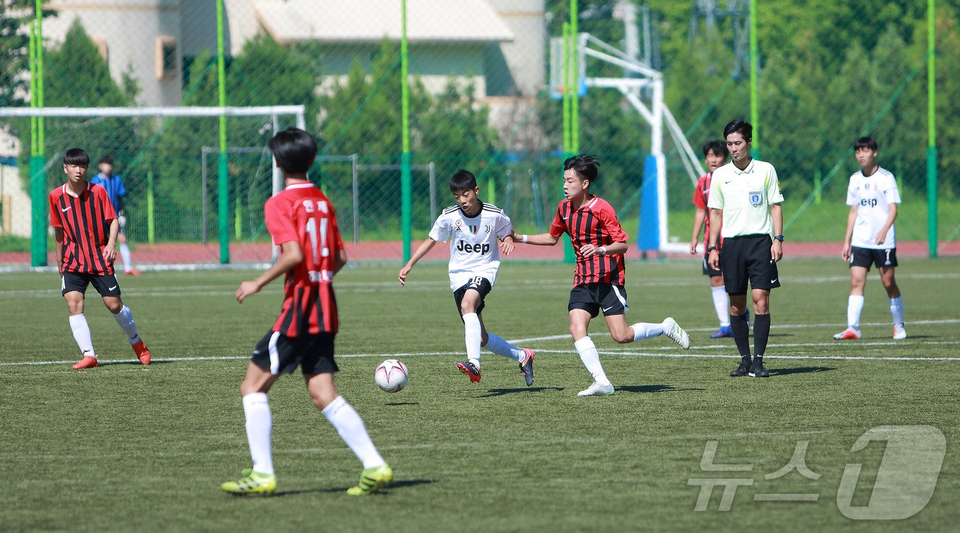 본문 이미지 - 축구 페스티벌.(인제군 제공)/뉴스1